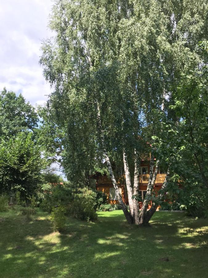 Pokoje Pod Debami Казимеж Долни Екстериор снимка